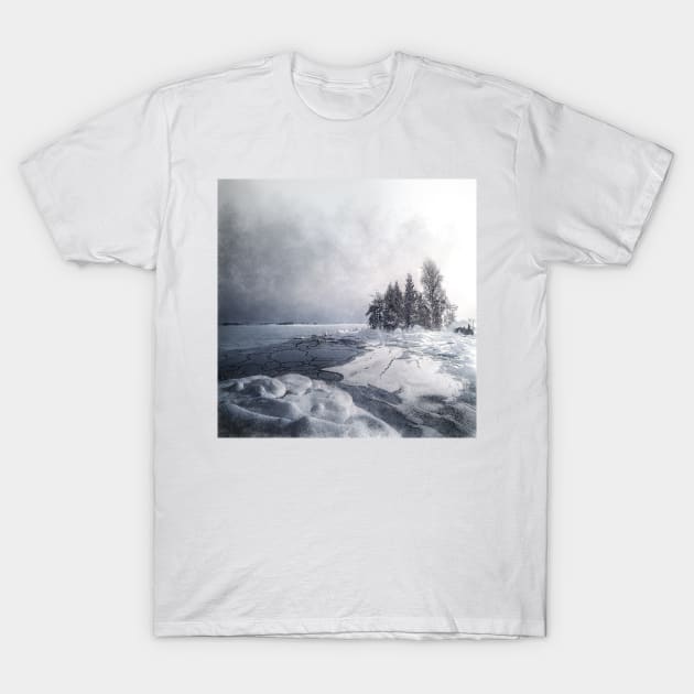 Winter & Ice T-Shirt by MikaelJenei